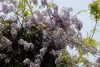 藤稲荷神社の自然