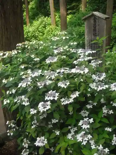 御霊神社の自然