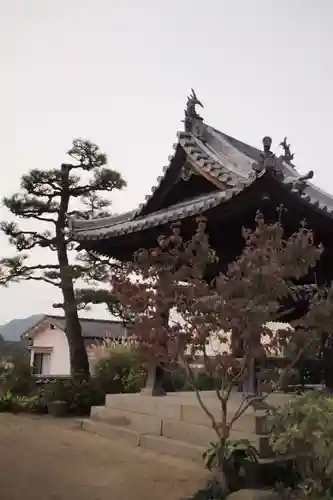 持光寺の建物その他