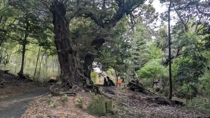 志比前神社の{uncategorized: "未分類", other: "その他", undefined: "問題あり", building: "その他建物", grave: "お墓", sacred_gate: "鳥居", guardian: "狛犬", statue: "像", buddha: "仏像", history: "歴史", nature: "自然", garden: "庭園", animal: "動物", pagoda: "塔", temizu: "手水舎", mountain_gate: "山門・神門", sanctuary: "本殿・本堂", subordinate: "末社・摂社", art: "芸術", scenery: "景色", jizo: "地蔵", ema: "絵馬", goshuin: "御朱印", omikuji: "おみくじ", items: "授与品その他", amulet: "お守り", goshuincho: "御朱印帳", eats: "食事", festival: "お祭り", votive_dance: "神楽", shichigosan: "七五三参", wedding: "結婚式", experience: "体験その他", initially: "初詣", around: "周辺", anti_infection: "感染症対策"}