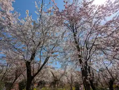 平野神社(京都府)