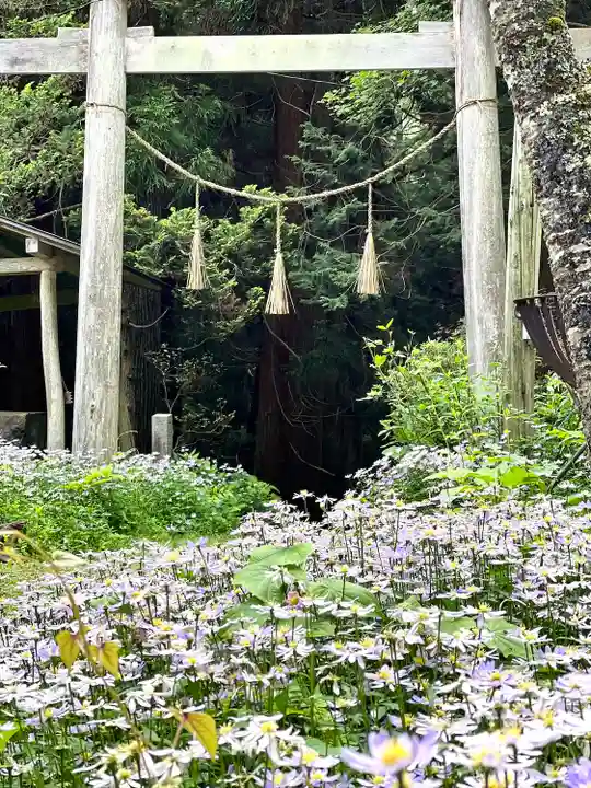 修那羅山安宮神社(長野県)
