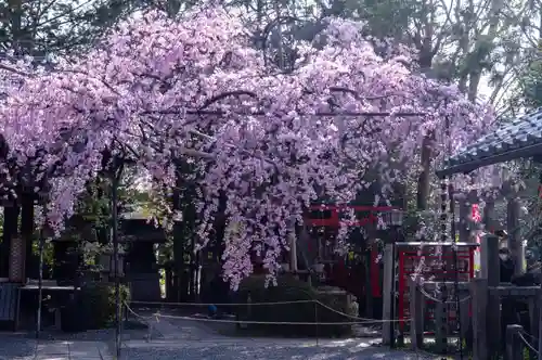 水火天満宮(京都府)