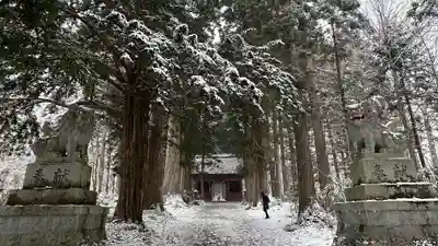 戸隠神社奥社(長野県)
