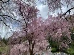 清雲寺の自然