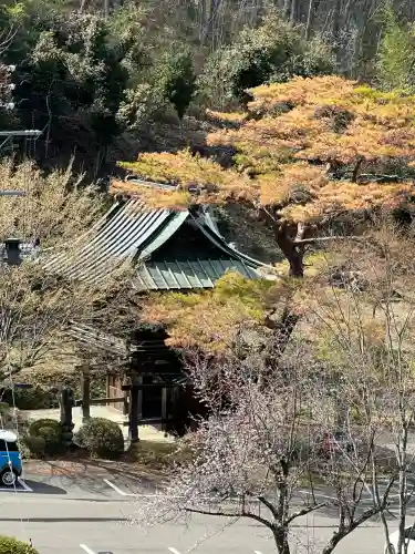 陽林寺の{uncategorized: "未分類", other: "その他", undefined: "問題あり", building: "その他建物", grave: "お墓", sacred_gate: "鳥居", guardian: "狛犬", statue: "像", buddha: "仏像", history: "歴史", nature: "自然", garden: "庭園", animal: "動物", pagoda: "塔", temizu: "手水舎", mountain_gate: "山門・神門", sanctuary: "本殿・本堂", subordinate: "末社・摂社", art: "芸術", scenery: "景色", jizo: "地蔵", ema: "絵馬", goshuin: "御朱印", omikuji: "おみくじ", items: "授与品その他", amulet: "お守り", goshuincho: "御朱印帳", eats: "食事", festival: "お祭り", votive_dance: "神楽", shichigosan: "七五三参", wedding: "結婚式", experience: "体験その他", initially: "初詣", around: "周辺", anti_infection: "感染症対策"}