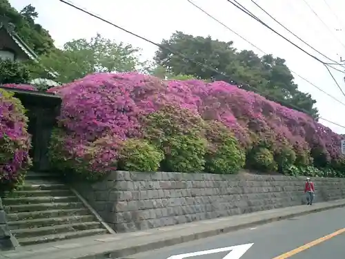安養院　(田代寺）の周辺
