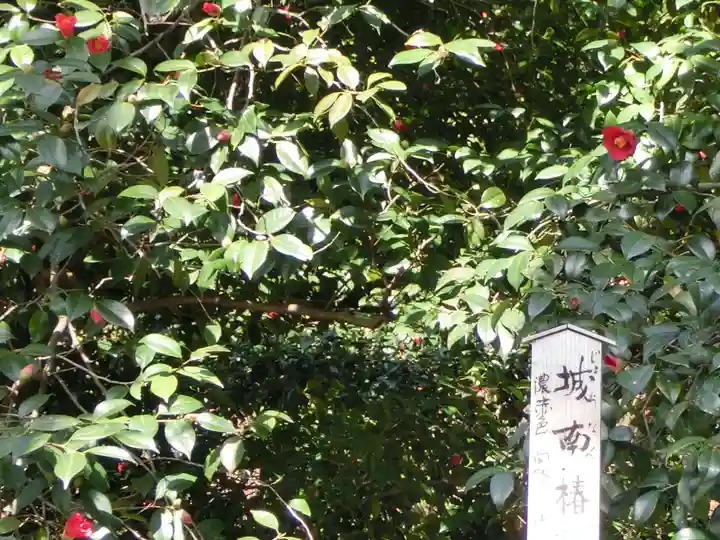 城南宮(京都府)