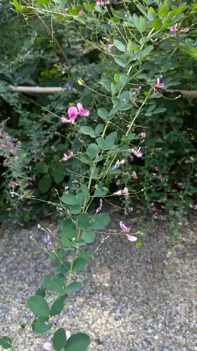 梨木神社(京都府)