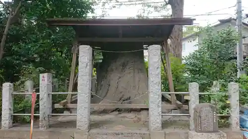丸子山王日枝神社の自然