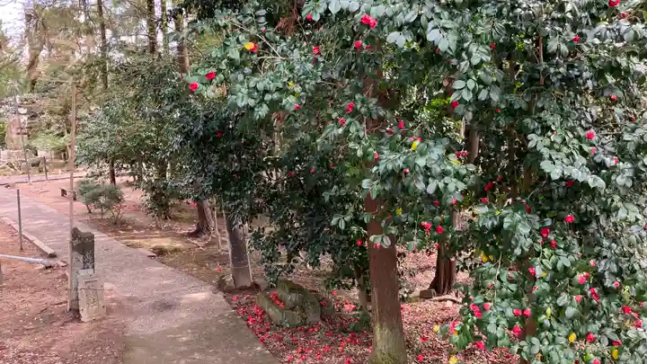 備前国総社宮(岡山県)