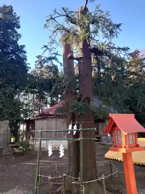 長沼八幡宮の本殿・本堂