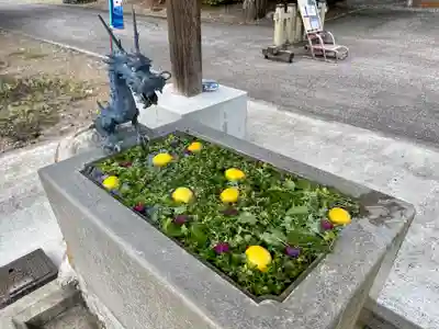 鹿追神社の手水舎