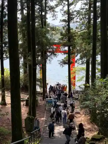 箱根神社の{uncategorized: "未分類", other: "その他", undefined: "問題あり", building: "その他建物", grave: "お墓", sacred_gate: "鳥居", guardian: "狛犬", statue: "像", buddha: "仏像", history: "歴史", nature: "自然", garden: "庭園", animal: "動物", pagoda: "塔", temizu: "手水舎", mountain_gate: "山門・神門", sanctuary: "本殿・本堂", subordinate: "末社・摂社", art: "芸術", scenery: "景色", jizo: "地蔵", ema: "絵馬", goshuin: "御朱印", omikuji: "おみくじ", items: "授与品その他", amulet: "お守り", goshuincho: "御朱印帳", eats: "食事", festival: "お祭り", votive_dance: "神楽", shichigosan: "七五三参", wedding: "結婚式", experience: "体験その他", initially: "初詣", around: "周辺", anti_infection: "感染症対策"}