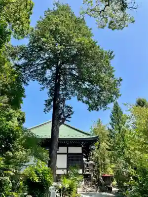遍照寺(神奈川県)