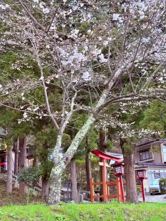 鏑八幡神社の{uncategorized: "未分類", other: "その他", undefined: "問題あり", building: "その他建物", grave: "お墓", sacred_gate: "鳥居", guardian: "狛犬", statue: "像", buddha: "仏像", history: "歴史", nature: "自然", garden: "庭園", animal: "動物", pagoda: "塔", temizu: "手水舎", mountain_gate: "山門・神門", sanctuary: "本殿・本堂", subordinate: "末社・摂社", art: "芸術", scenery: "景色", jizo: "地蔵", ema: "絵馬", goshuin: "御朱印", omikuji: "おみくじ", items: "授与品その他", amulet: "お守り", goshuincho: "御朱印帳", eats: "食事", festival: "お祭り", votive_dance: "神楽", shichigosan: "七五三参", wedding: "結婚式", experience: "体験その他", initially: "初詣", around: "周辺", anti_infection: "感染症対策"}