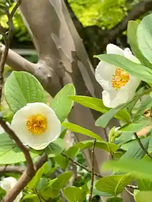 真正極楽寺(真如堂)(京都府)