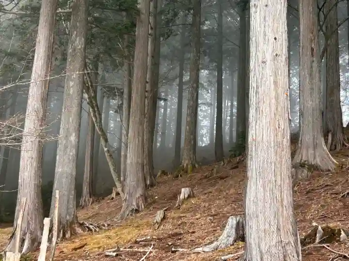 三峯神社の{uncategorized: "未分類", other: "その他", undefined: "問題あり", building: "その他建物", grave: "お墓", sacred_gate: "鳥居", guardian: "狛犬", statue: "像", buddha: "仏像", history: "歴史", nature: "自然", garden: "庭園", animal: "動物", pagoda: "塔", temizu: "手水舎", mountain_gate: "山門・神門", sanctuary: "本殿・本堂", subordinate: "末社・摂社", art: "芸術", scenery: "景色", jizo: "地蔵", ema: "絵馬", goshuin: "御朱印", omikuji: "おみくじ", items: "授与品その他", amulet: "お守り", goshuincho: "御朱印帳", eats: "食事", festival: "お祭り", votive_dance: "神楽", shichigosan: "七五三参", wedding: "結婚式", experience: "体験その他", initially: "初詣", around: "周辺", anti_infection: "感染症対策"}