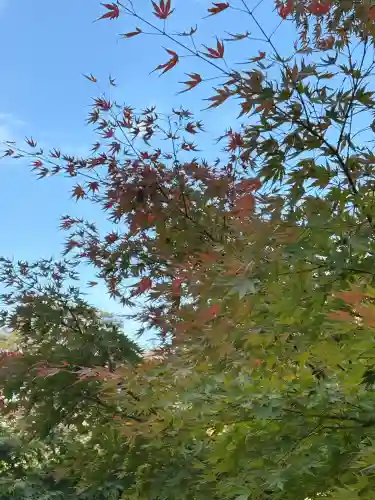 円覚寺(神奈川県)