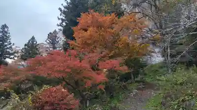 橋立堂(埼玉県)