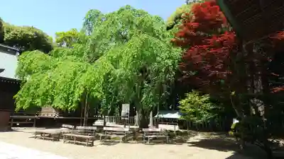 常陸第三宮 吉田神社(茨城県)