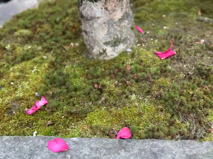 西方山極楽寺(岐阜県)