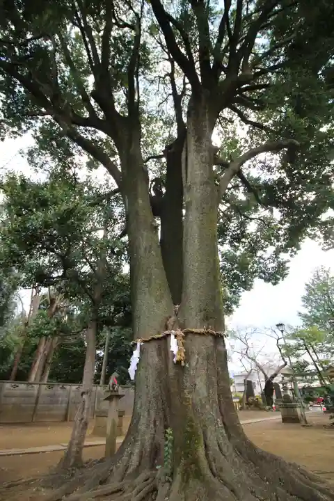 和田稲荷神社(東京都)