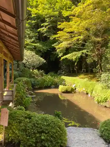 寂光院の庭園