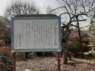 地蔵院(東京都)