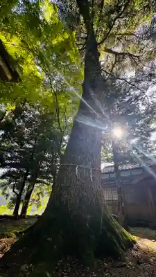 白石神社(福井県)