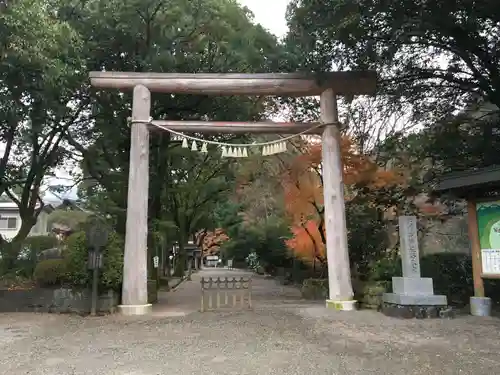 天岩戸神社の鳥居