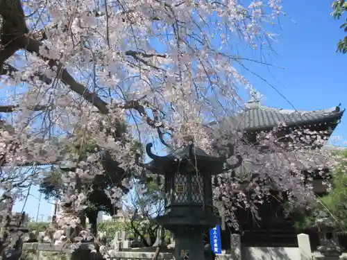 本覚寺の景色