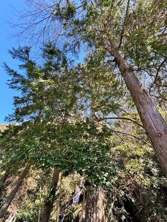 瀧川神社(静岡県)