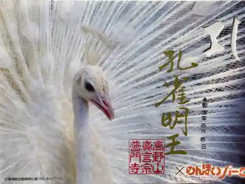 普門寺(切り絵御朱印発祥の寺)の御朱印