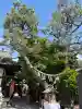 塚本神社の{uncategorized: "未分類", other: "その他", undefined: "問題あり", building: "その他建物", grave: "お墓", sacred_gate: "鳥居", guardian: "狛犬", statue: "像", buddha: "仏像", history: "歴史", nature: "自然", garden: "庭園", animal: "動物", pagoda: "塔", temizu: "手水舎", mountain_gate: "山門・神門", sanctuary: "本殿・本堂", subordinate: "末社・摂社", art: "芸術", scenery: "景色", jizo: "地蔵", ema: "絵馬", goshuin: "御朱印", omikuji: "おみくじ", items: "授与品その他", amulet: "お守り", goshuincho: "御朱印帳", eats: "食事", festival: "お祭り", votive_dance: "神楽", shichigosan: "七五三参", wedding: "結婚式", experience: "体験その他", initially: "初詣", around: "周辺", anti_infection: "感染症対策"}