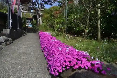 横浜御嶽神社(神奈川県)