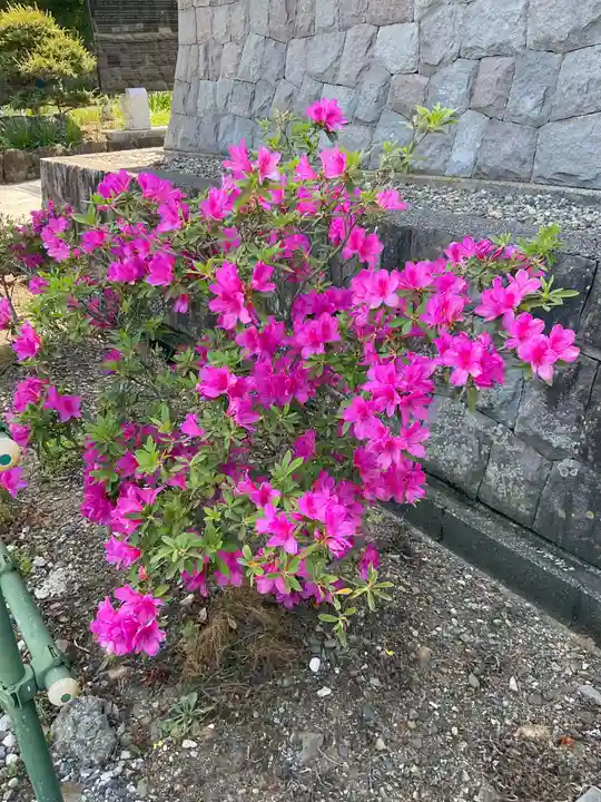 吉祥寺(栃木県)