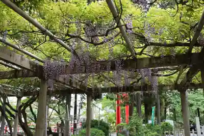 立木神社(滋賀県)