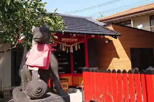 於菊稲荷神社の狛犬