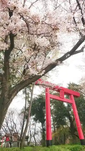 尾張猿田彦神社の鳥居