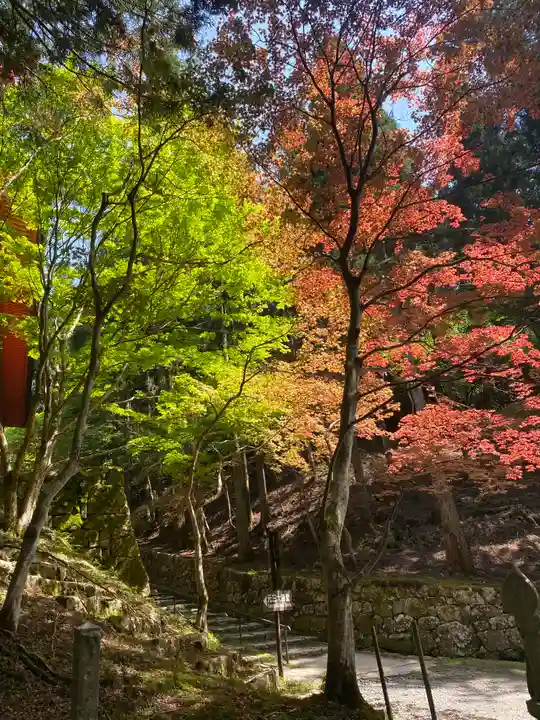 比叡山延暦寺(滋賀県)