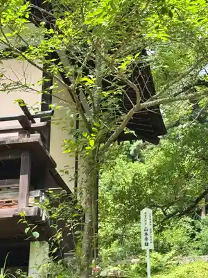土津神社｜こどもと出世の神さま(福島県)