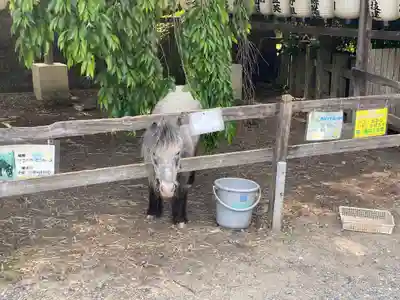大石神社(京都府)