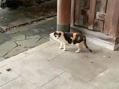 天王坊稲荷神社(岐阜県)