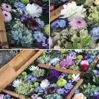 豊平神社の手水舎