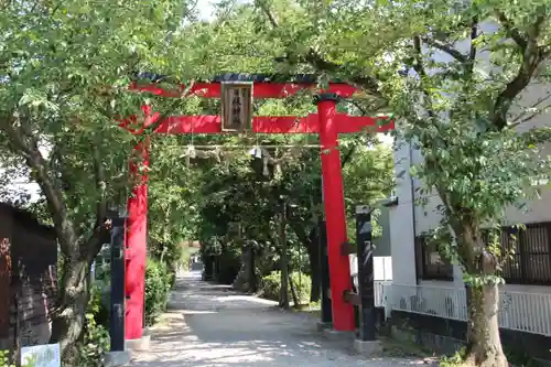 日根神社の鳥居