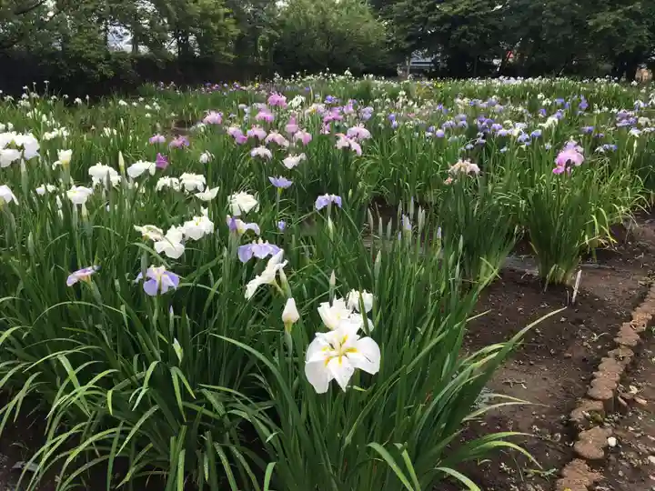 伊佐須美神社の庭園