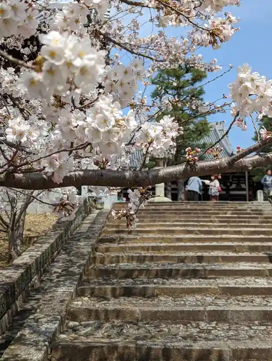 くろ谷 金戒光明寺(京都府)