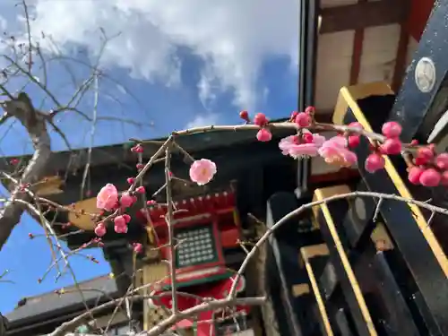 水戸東照宮(茨城県)