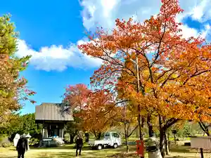 蚊里田八幡宮(長野県)(2024年11月13日(水) 18時10分58秒投稿)